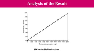 Analysis of the Result
562
nm
BSA Standard Calibration Curve
 