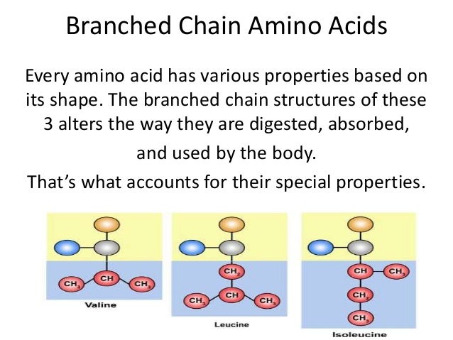 Branched Chain Amino Acids
