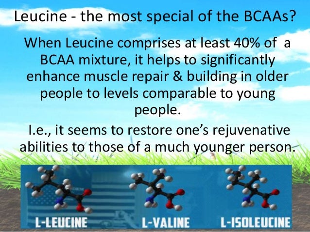 Paleo Proteins Perfected: Video 3 of 11; Benefits of ...