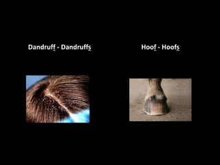 Dandruff - Dandruffs Hoof - Hoofs
 