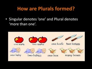 How are Plurals formed?
• Singular denotes ‘one’ and Plural denotes
‘more than one’.
 
