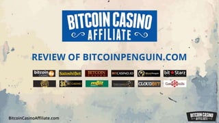 Review Of Bitcoinpenguin.com