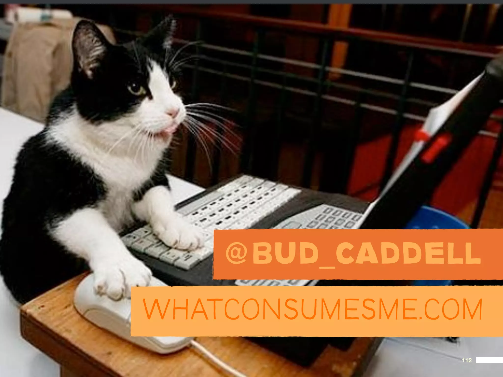@BUD_CADDELL
WHATCONSUMESME.COM
                112
 