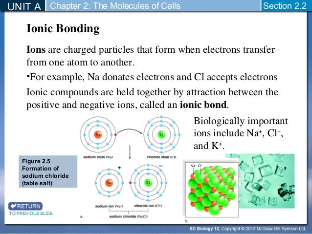 Biology 12 Basic Chemistry Section 21 and 22