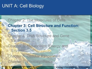 Biology 12 - Plasma Membrane Permeability - Section 3-5 | PPT