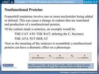 Biology 12 - DNA Mutations and Expression | PPT