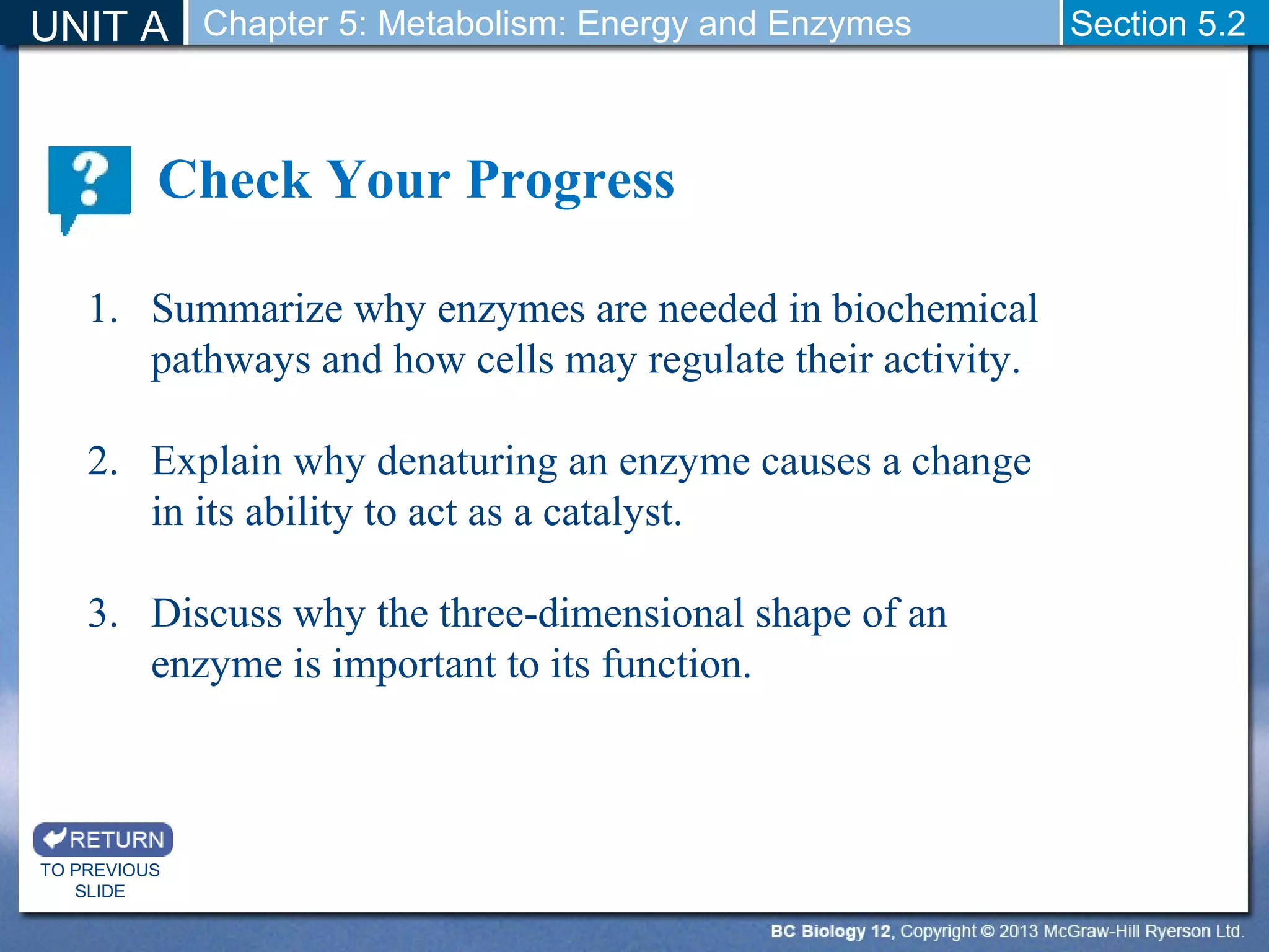 Biology 12 - Enzymes and Metabolic Pathways - Section 5-2 | PPT