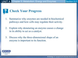 UNIT A Chapter 5: Metabolism: Energy and Enzymes Section 5.2 
TO PREVIOUS 
SLIDE 
Check Your Progress 
1. Summarize why enzymes are needed in biochemical 
pathways and how cells may regulate their activity. 
2. Explain why denaturing an enzyme causes a change 
in its ability to act as a catalyst. 
3. Discuss why the three-dimensional shape of an 
enzyme is important to its function. 
 