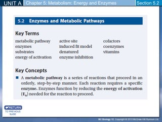 UNIT A Chapter 5: Metabolism: Energy and Enzymes Section 5.2 
TO PREVIOUS 
SLIDE 
 