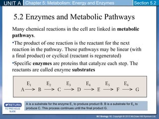 UNIT A Chapter 5: Metabolism: Energy and Enzymes Section 5.2 
5.2 Enzymes and Metabolic Pathways 
Many chemical reactions in the cell are linked in metabolic 
pathways. 
•The product of one reaction is the reactant for the next 
reaction in the pathway. These pathways may be linear (with 
a final product) or cyclical (reactant is regenerated) 
•Specific enzymes are proteins that catalyze each step. The 
reactants are called enzyme substrates 
A is a substrate for the enzyme E1 to produce product B. B is a substrate for E2 to 
produce C. This process continues until the final product G. 
TO PREVIOUS 
SLIDE 
 