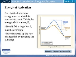 UNIT A Chapter 5: Metabolism: Energy and Enzymes Section 5.2 
Energy of Activation 
For chemical reactions, 
energy must be added for 
reactants to react. This is the 
energy of activation, Ea. 
•Even if ΔG is negative, Ea 
must be overcome 
•Enzymes speed up the rate 
of a reaction by lowering the 
Ea barrier 
TO PREVIOUS 
SLIDE 
Figure 5.2 Energy of activation (Ea). 
 