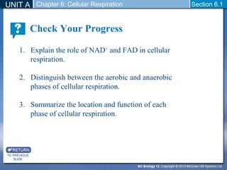 UNIT A Section 6.1 
TO PREVIOUS 
SLIDE 
Chapter 6: Cellular Respiration 
Check Your Progress 
1. Explain the role of NAD+ and FAD in cellular 
respiration. 
2. Distinguish between the aerobic and anaerobic 
phases of cellular respiration. 
3. Summarize the location and function of each 
phase of cellular respiration. 
 