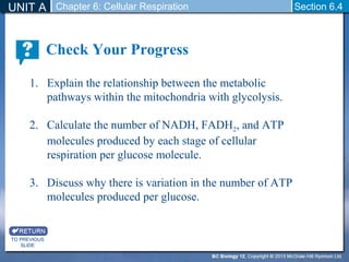 UNIT A Section 6.4 
TO PREVIOUS 
SLIDE 
Chapter 6: Cellular Respiration 
Check Your Progress 
1. Explain the relationship between the metabolic 
pathways within the mitochondria with glycolysis. 
2. Calculate the number of NADH, FADH2, and ATP 
molecules produced by each stage of cellular 
respiration per glucose molecule. 
3. Discuss why there is variation in the number of ATP 
molecules produced per glucose. 
 