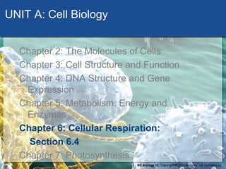 UNIT A: Cell Biology 
Chapter 2: The Molecules of Cells 
Chapter 3: Cell Structure and Function 
Chapter 4: DNA Structure and Gene 
Expression 
Chapter 5: Metabolism: Energy and 
Enzymes 
Chapter 6: Cellular Respiration: 
Section 6.4 
Chapter 7: Photosynthesis 
 