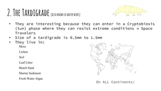 2.TheTardigrade(alsoknowsaswaterbears)
• They are interesting because they can enter in a Cryptobiosis
(tun) phase where they can resist extreme conditions → Space
Travelers
• Size of a tardigrade is 0.5mm to 1.5mm
• They live in:
Moss
Lichen
Soil
Leaf Litter
Beach Sand
Marine Sediment
Fresh Water Algae
On ALL Continents!
 