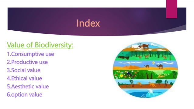 Bcca (4th Sem) evs.pptx