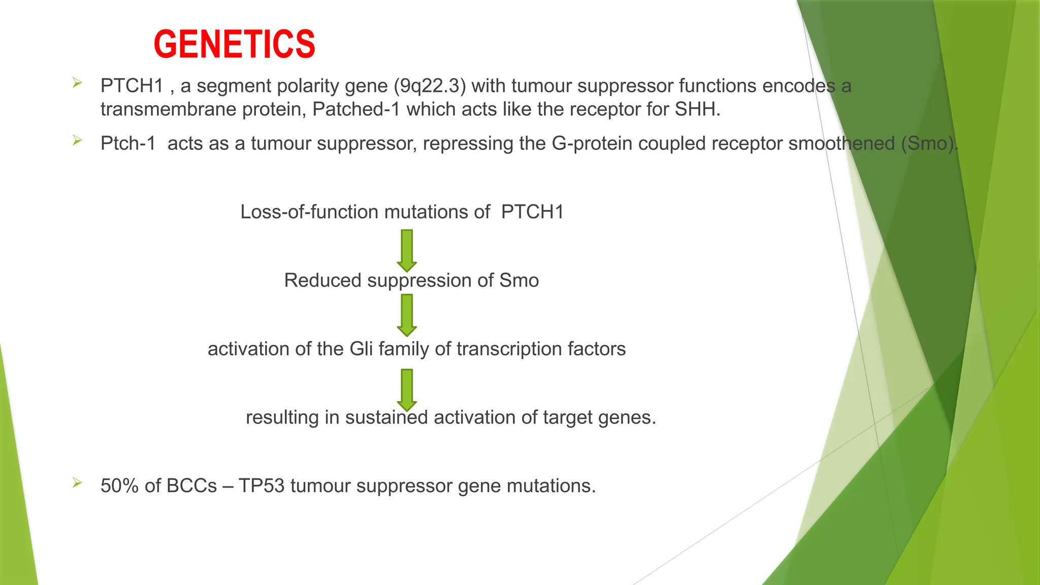 GENETICS
 PTCH1 , a segment polarity gene (9q22.3) with tumour suppressor functions encodes a
transmembrane protein, Patched 1 which acts like the receptor for SHH.
‐
 Ptch 1 acts as a tumour suppressor, repressing the G protein coupled receptor smoothened (Smo).
‐ ‐
Loss of function mutations of PTCH1
‐ ‐
Reduced suppression of Smo
activation of the Gli family of transcription factors
resulting in sustained activation of target genes.
 50% of BCCs – TP53 tumour suppressor gene mutations.
 