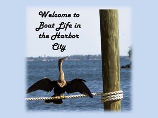 Welcome to
Boat Life in
the Harbor
City
 