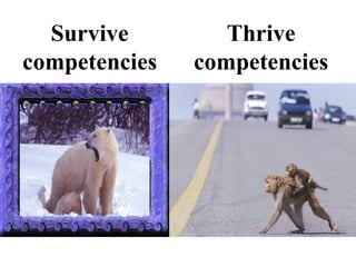 Survive competencies Thrive competencies 