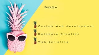 C u s t o m W e b d e v e l o p m e n t
D a t a b a s e C r e a t i o n
W e b S c r i p t i n g
 