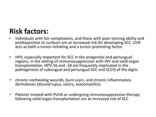 Bcc & s cc | PPTX
