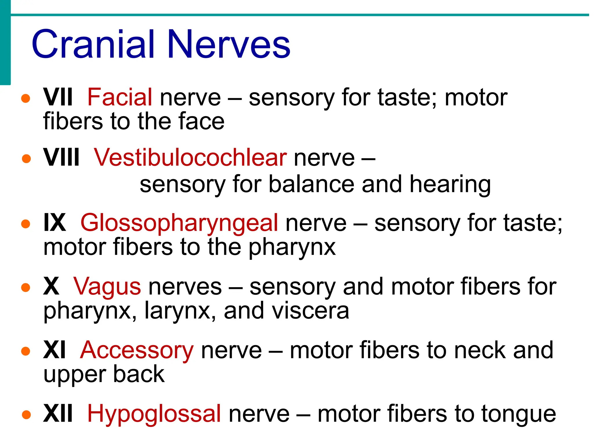 Cranial Nerves
• VII Facial nerve – sensory for taste; motor
fibers to the face
• VIII Vestibulocochlear nerve –
sensory for balance and hearing
• IX Glossopharyngeal nerve – sensory for taste;
motor fibers to the pharynx
• X Vagus nerves – sensory and motor fibers for
pharynx, larynx, and viscera
• XI Accessory nerve – motor fibers to neck and
upper back
• XII Hypoglossal nerve – motor fibers to tongue
 