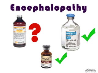 Encephalopathy
?
http://valleyvet.com
http://nursingcrib.com
http://hexal-elements.de
 