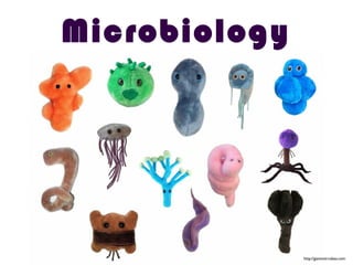 Microbiology
http://giantmicrobes.com
 