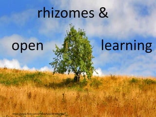 https://www.flickr.com/photos/lyza/245086056/
rhizomes &
open learning
 