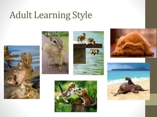 Adult Learning Style
 