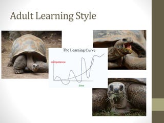 Adult Learning Style
 