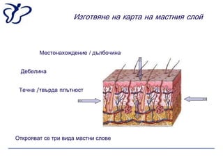 Изготвяне на карта на мастния слой



        Местонахождение / дълбочина


 Дебелина


 Течна /твърда плътност




Открояват се три вида мастни слове
 