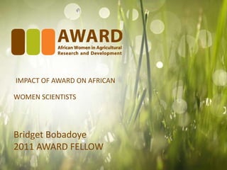 IMPACT OF AWARD ON AFRICAN
WOMEN SCIENTISTS

Bridget Bobadoye
2011 AWARD FELLOW

 