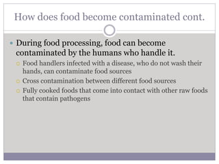 Summer Food Safety KC | PPTX