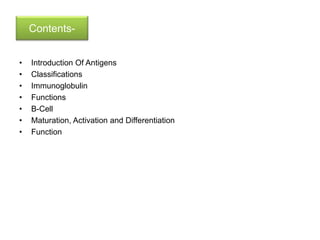 Antigen,Immunoglobulin And B Cell Maturation Activation Differentiation ...
