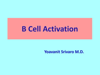 B Cell Activation
Yoavanit Srivaro M.D.
 