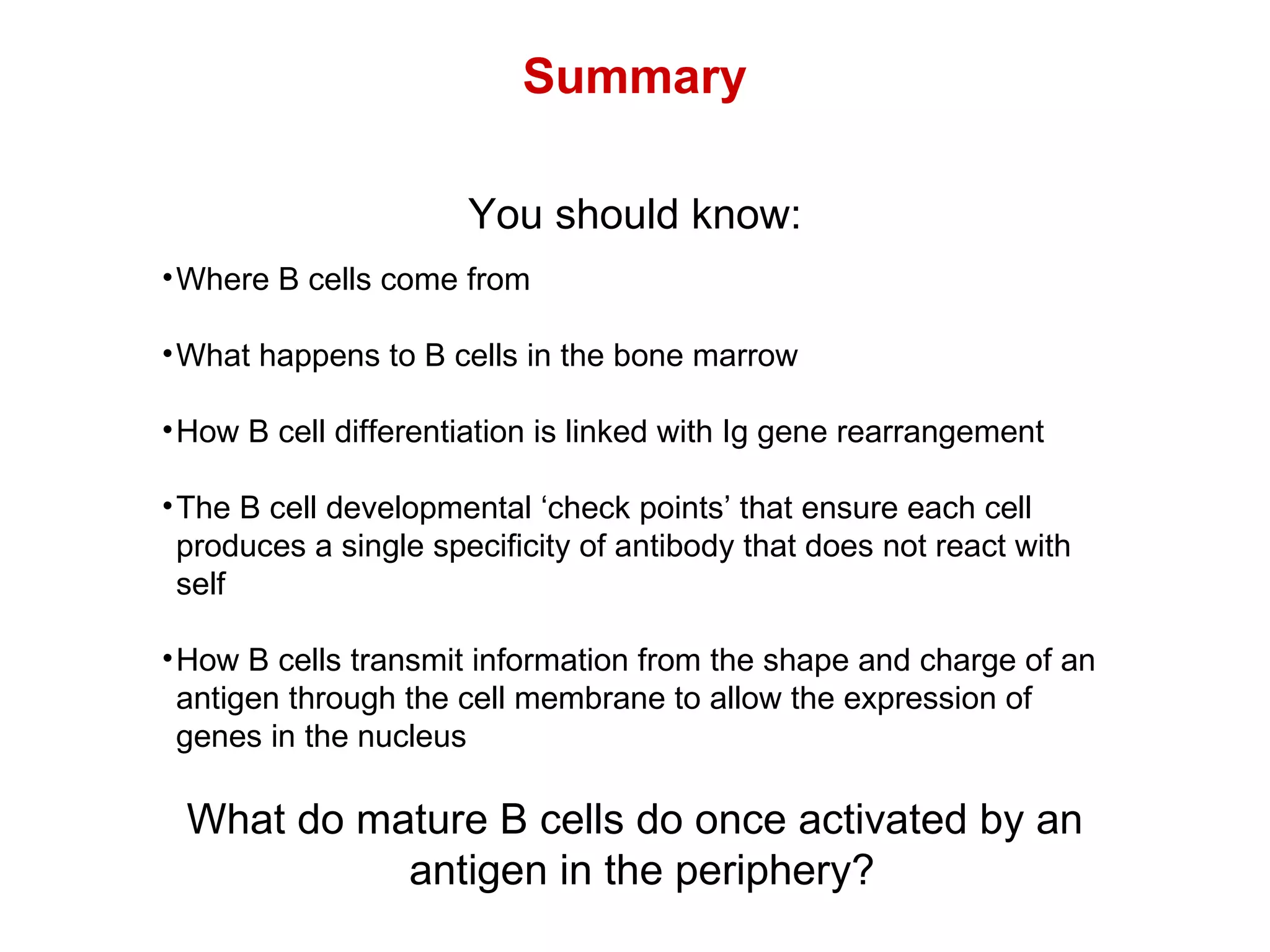 You should know: Where B cells come from What happens to B cells in the bone marrow How B cell differentiation is linked with Ig gene rearrangement The B cell developmental ‘check points’ that ensure each cell produces a single specificity of antibody that does not react with self How B cells transmit information from the shape and charge of an antigen through the cell membrane to allow the expression of genes in the nucleus What do mature B cells do once activated by an antigen in the periphery? Summary 