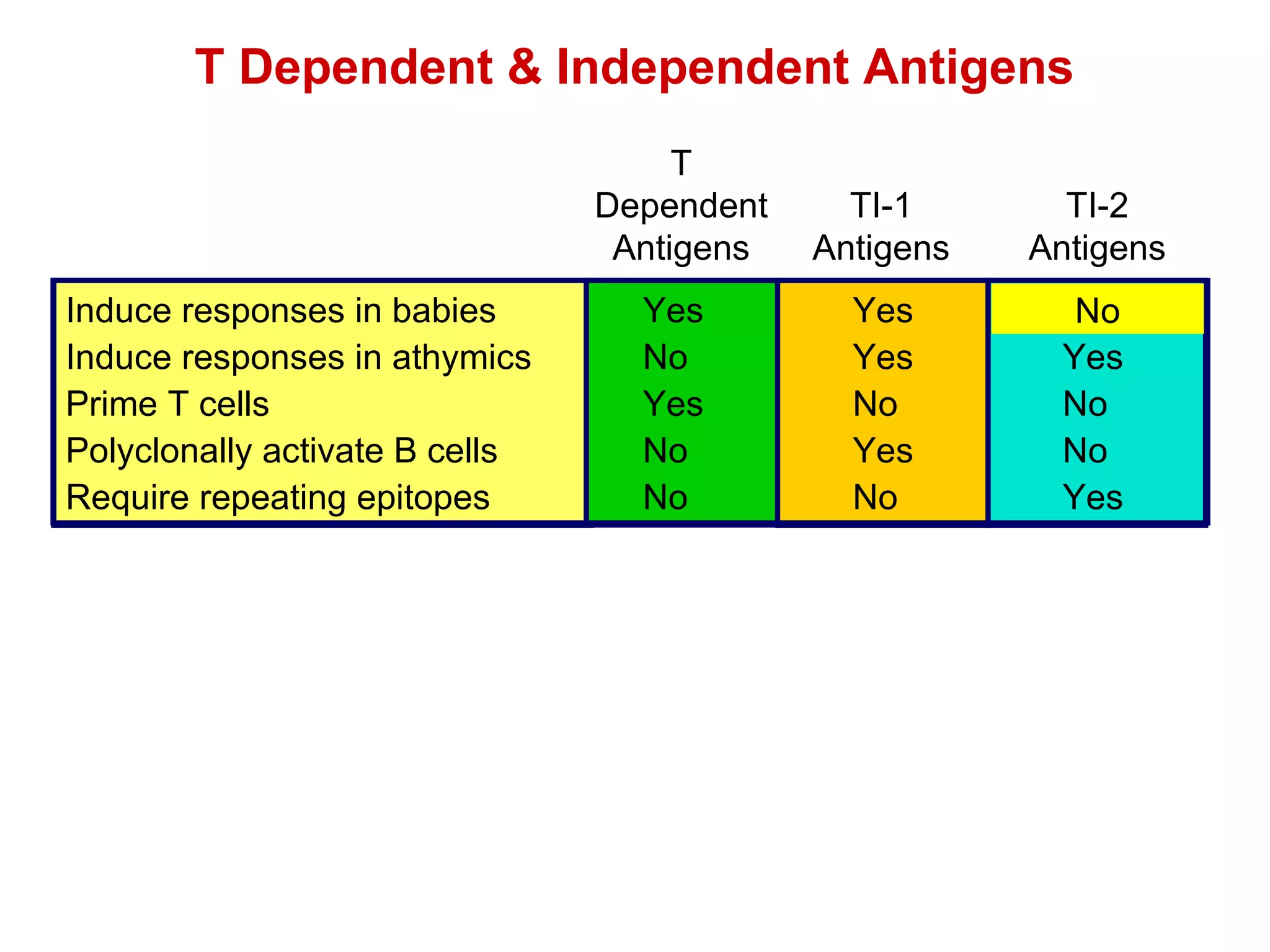 No T Dependent Antigens TI-1 Antigens TI-2 Antigens Induce responses in babies Yes Yes Induce responses in athymics No Yes Yes Prime T cells Yes No No Polyclonally activate B cells No Yes No Require repeating epitopes No No Yes T Dependent & Independent Antigens 