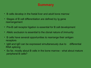 B Cell Development | PPT