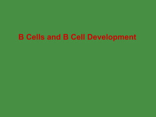 B Cells and B Cell Development  