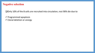 Negative selection
Only 10% of the B cells are recruited into circulation, rest 90% die due to
 Programmed apoptosis
 Clonal deletion or anergy
 