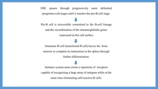 HSC passes through progressively more delimited
progenitor-cell stages until it reaches the pro-B cell stage.
Pre-B cell is irreversibly committed to the B-cell lineage
and the recombination of the immunoglobulin genes
expressed on the cell surface
Immature B cell (transitional B cell) leaves the bone
marrow to complete its maturation in the spleen through
further differentiation.
Immune system must create a repertoire of receptors
capable of recognizing a large array of antigens while at the
same time eliminating self-reactive B cells.
 