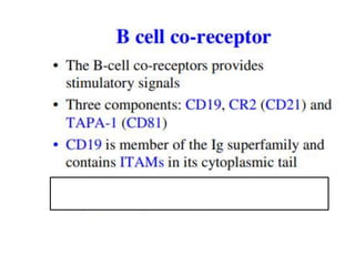 B CELL RECEPTOR final.pptx