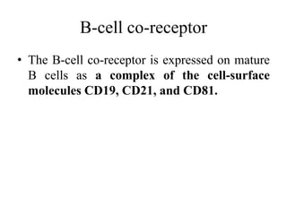 B-cell co-receptor
• The B-cell co-receptor is expressed on mature
B cells as a complex of the cell-surface
molecules CD19, CD21, and CD81.
 