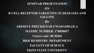 SEMINAR PRESENTATION
ON
B CELL RECEPTOR TARGETING IN DESEASES AND
VACCINE
BY
ADERIYE PRECIOUS OLUWADAMILOLA
MATRIC NUMBER: 178858057
Course code: BCH404
BIOCHEMISTRY DEPARTMENT
FACULTY OF SCIENCE
EKITI STATE UNIVERSITY
 