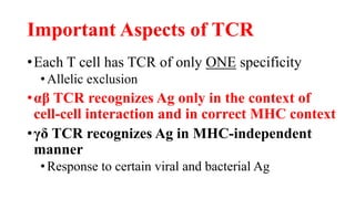 Important Aspects of TCR
•Each T cell has TCR of only ONE specificity
•Allelic exclusion
•αβ TCR recognizes Ag only in the context of
cell-cell interaction and in correct MHC context
•γδ TCR recognizes Ag in MHC-independent
manner
•Response to certain viral and bacterial Ag
 