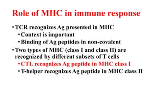 Role of MHC in immune response
•TCR recognizes Ag presented in MHC
•Context is important
•Binding of Ag peptides in non-covalent
•Two types of MHC (class I and class II) are
recognized by different subsets of T cells
•CTL recognizes Ag peptide in MHC class I
•T-helper recognizes Ag peptide in MHC class II
 
