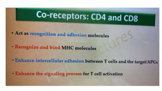 B Cell & T Cell Receptors.pptx