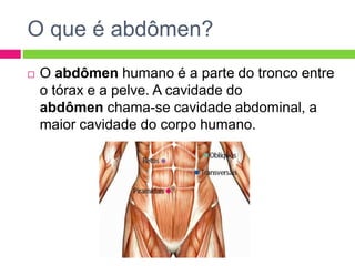 O que é abdômen?
 O abdômen humano é a parte do tronco entre
o tórax e a pelve. A cavidade do
abdômen chama-se cavidade abdominal, a
maior cavidade do corpo humano.
 