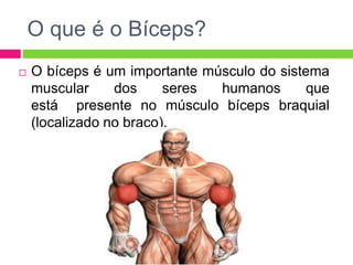 O que é o Bíceps?
 O bíceps é um importante músculo do sistema
muscular dos seres humanos que
está presente no músculo bíceps braquial
(localizado no braço).
 